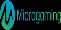 MICRO GAMING PLUS